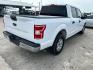 2019 White Ford F-150 (1FTEW1C55KK) with an 5.0L V8 F DOHC 32V engine, Automatic transmission, located at 1687 Business 35 S, New Braunfels, TX, 78130, (830) 625-7159, 29.655487, -98.051491 - Photo#6